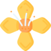 B体育 logo